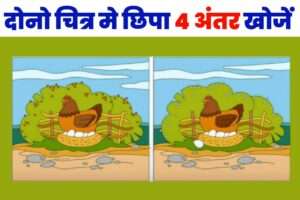 Optical Illusions Difference